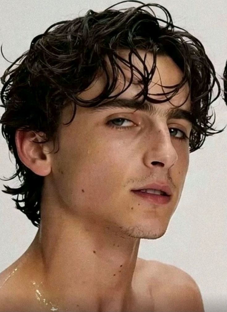 Timothรฉe Chalamet returns as Emperor Paul Atreides